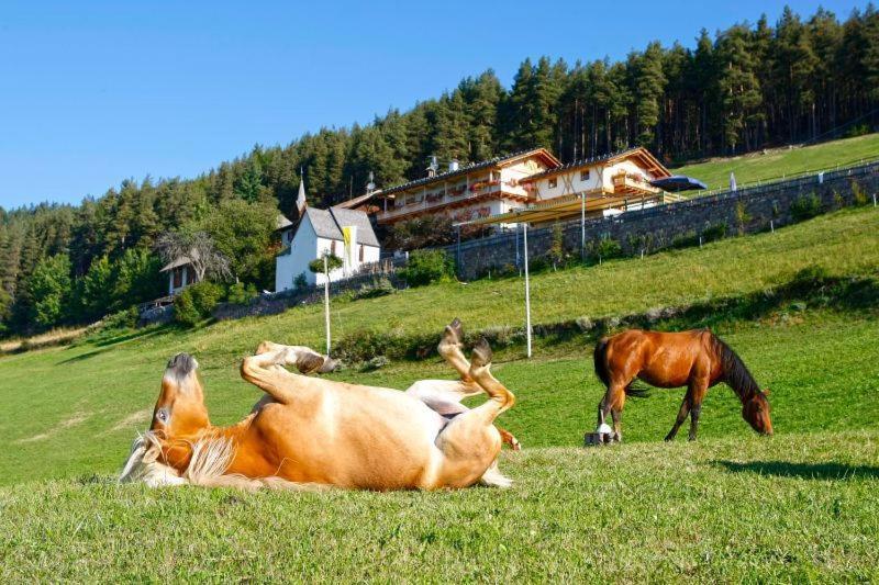 Gasthaus Bad Siess Longostagno エクステリア 写真