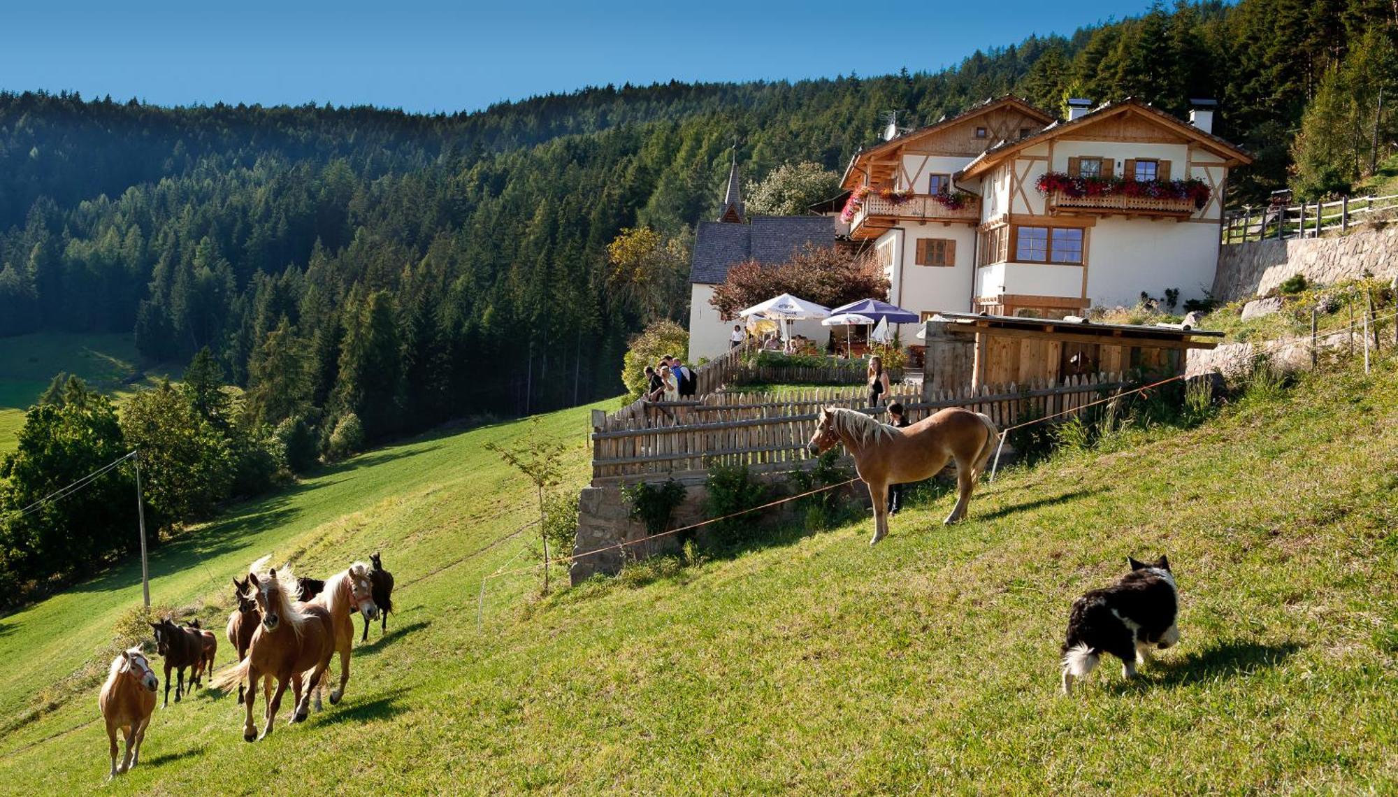Gasthaus Bad Siess Longostagno エクステリア 写真